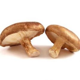 Cogumelo Shitake