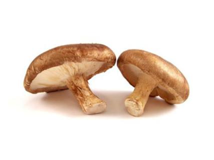 Cogumelo Shitake (500gr)