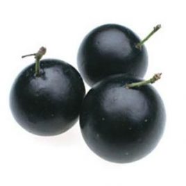 Jabuticaba